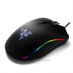 Mouse