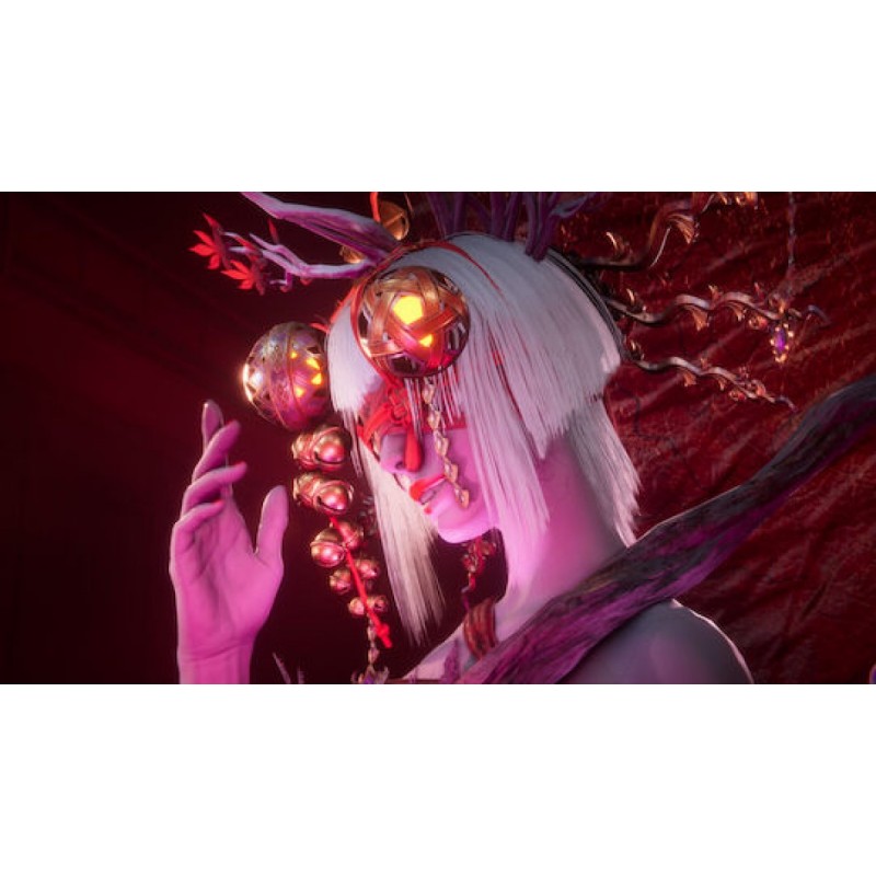 Xbox Series X Game Ninja Gaiden 4