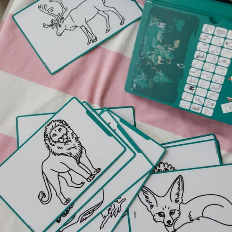 Kidywolf Kidydraw Drawing Pad Animals Around The World (KDW-182198) Green