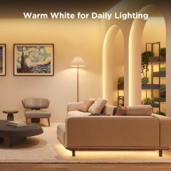 Govee H612CCDI RGBIC Stripe Light S 10m