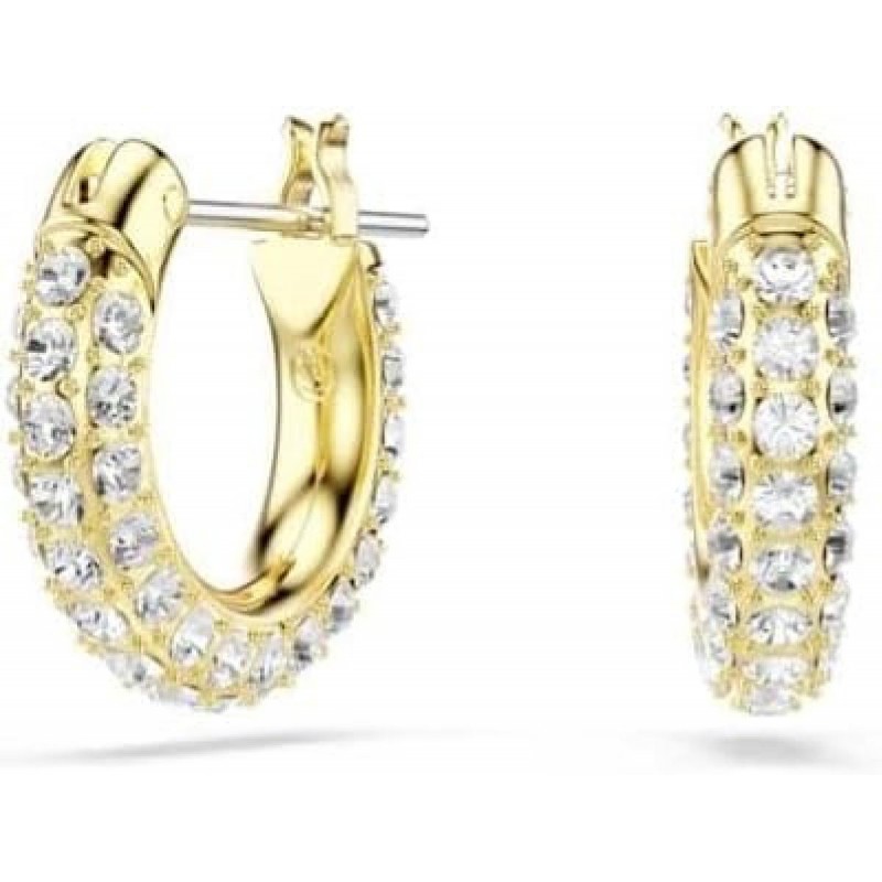 Swarovski Dextera Collection Hoop Earrings (5734275)